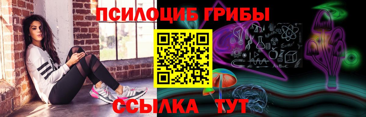 Псилоцибиновые грибы Psilocybe Ржев
